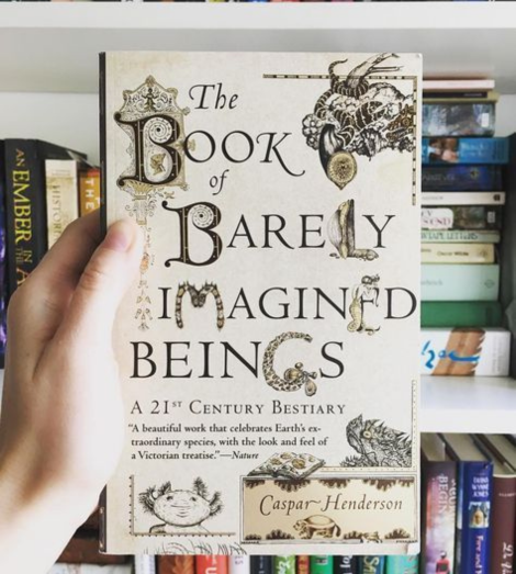 iBookShop